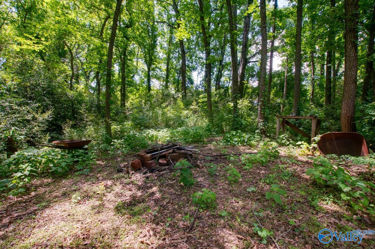 703 Cardinal Avenue, Madison, Alabama image 33