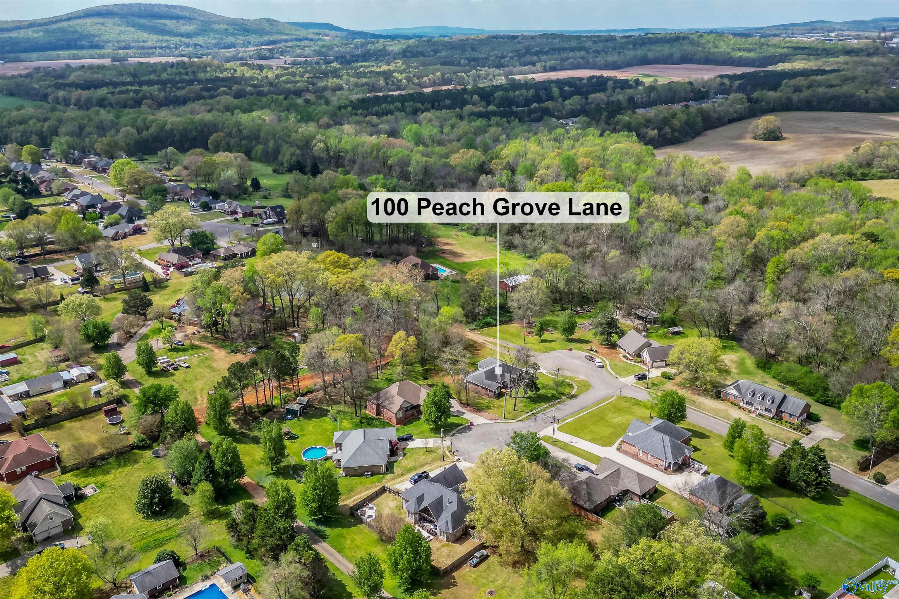 100 Peach Grove Lane, Meridianville, Alabama image 49