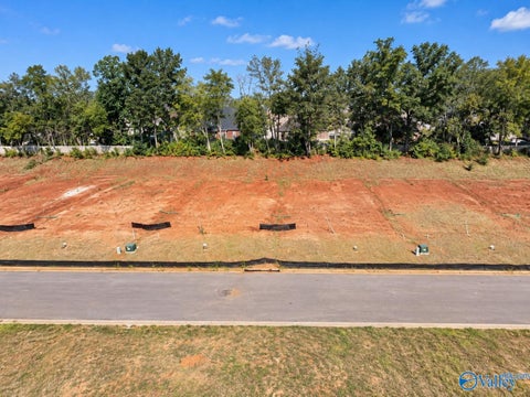 Vacant Land For Sale - 12326 Laxmi Street<br/> Madison, AL 35756