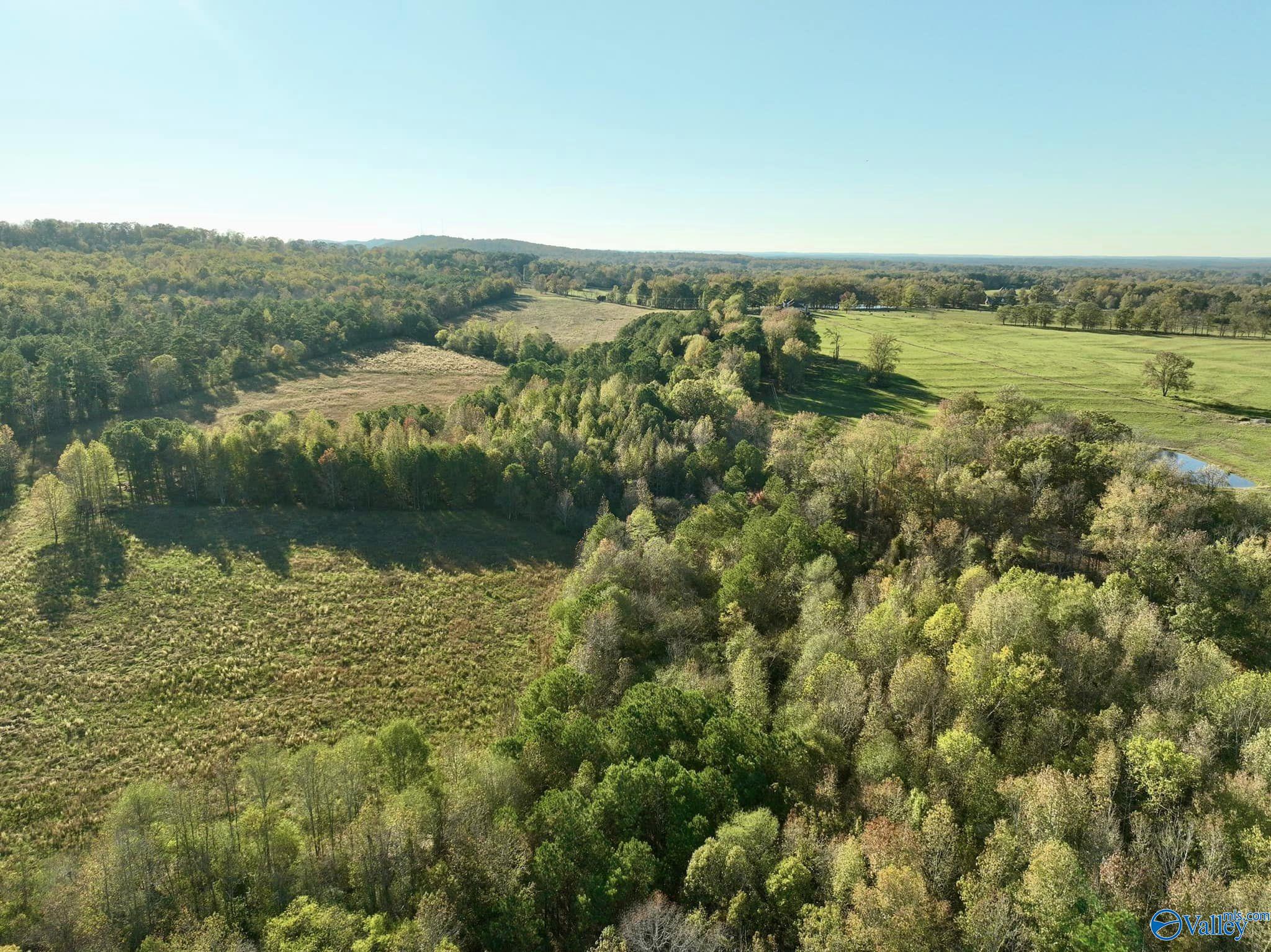 20+/- Acres Pleasant Hill Church Road, Boaz, Alabama image 3