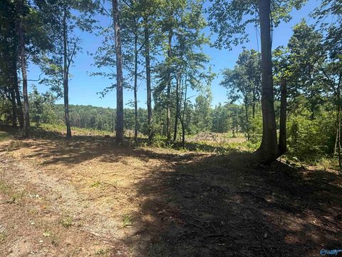 Vacant Land For Sale - 10 AC Bishop Mountain Road<br/> Grant, AL 35747