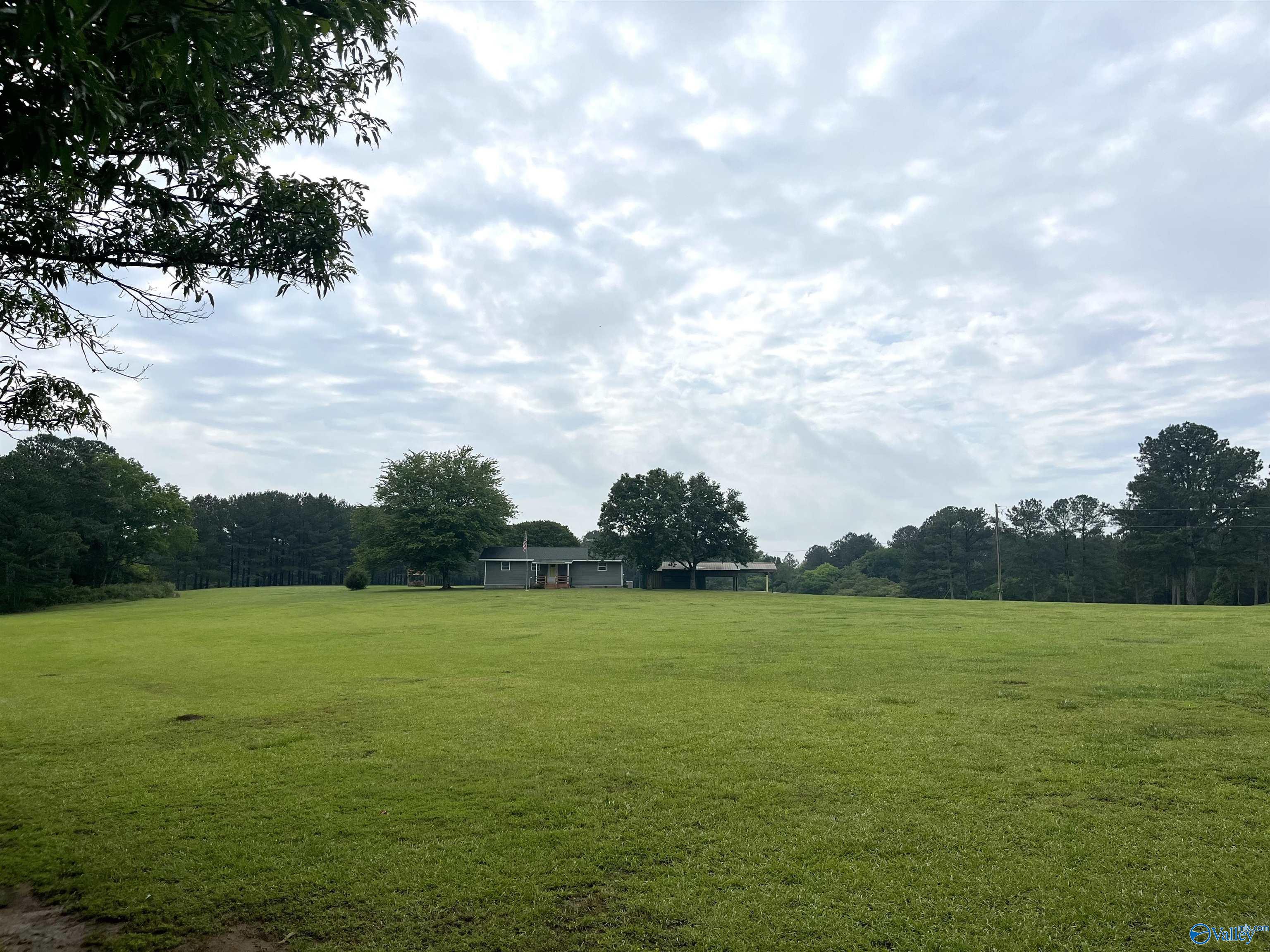 893 County Road 856, Cedar Bluff, Alabama image 2