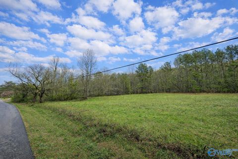 Vacant Land For Sale - 2283 Fowlers Ferry Road<br/> Etowah County, Southside, AL 35907