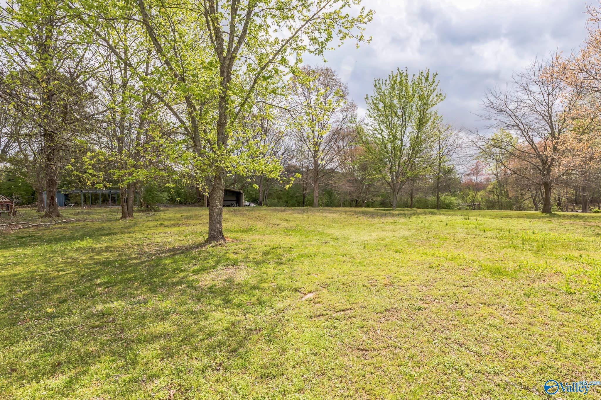1106 10th Street, Arab, Alabama image 23