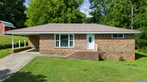Homes For Sale - 111 30th Street<br/> Fort Payne, AL 35967