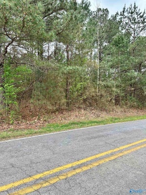 W LIMESTONE SCHOOL RD, LESTER, AL 35647 - Image da8b2732701f6a32a9a46c80b9bcf88e/1269701050
