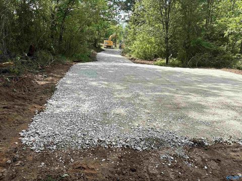 Vacant Land For Sale - 3.64 Us Highway 278<br/> Walnut Grove, AL 35952