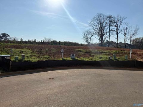 Vacant Land For Sale - 105 Ayers Spring Road<br/> New Market, AL 35761