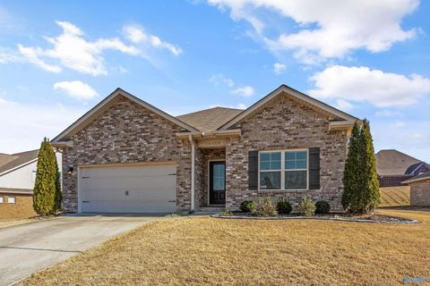 Homes For Sale - 14328 Water Stream Drive<br/> Harvest, AL 35749