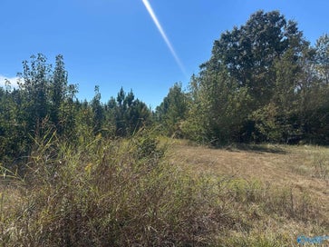 8837 Highway 72 N Madison AL 35758