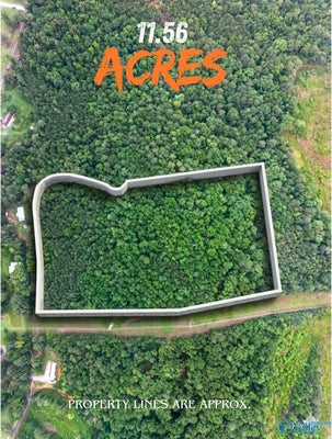18 STONE RD, GADSDEN, AL 35905 - Image daac233ebec7f57fe5cf71a96a3df21b/2257610899