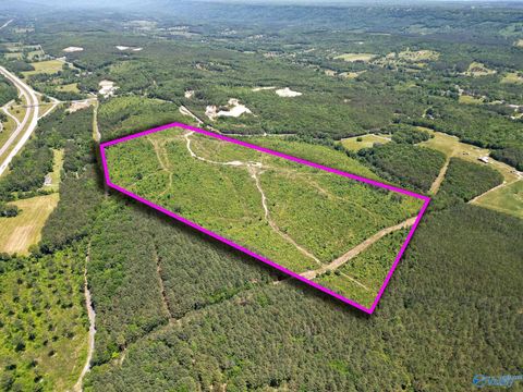 Vacant Land For Sale - 74 ACRES Bethel Road<br/> Valley Head, AL 35989