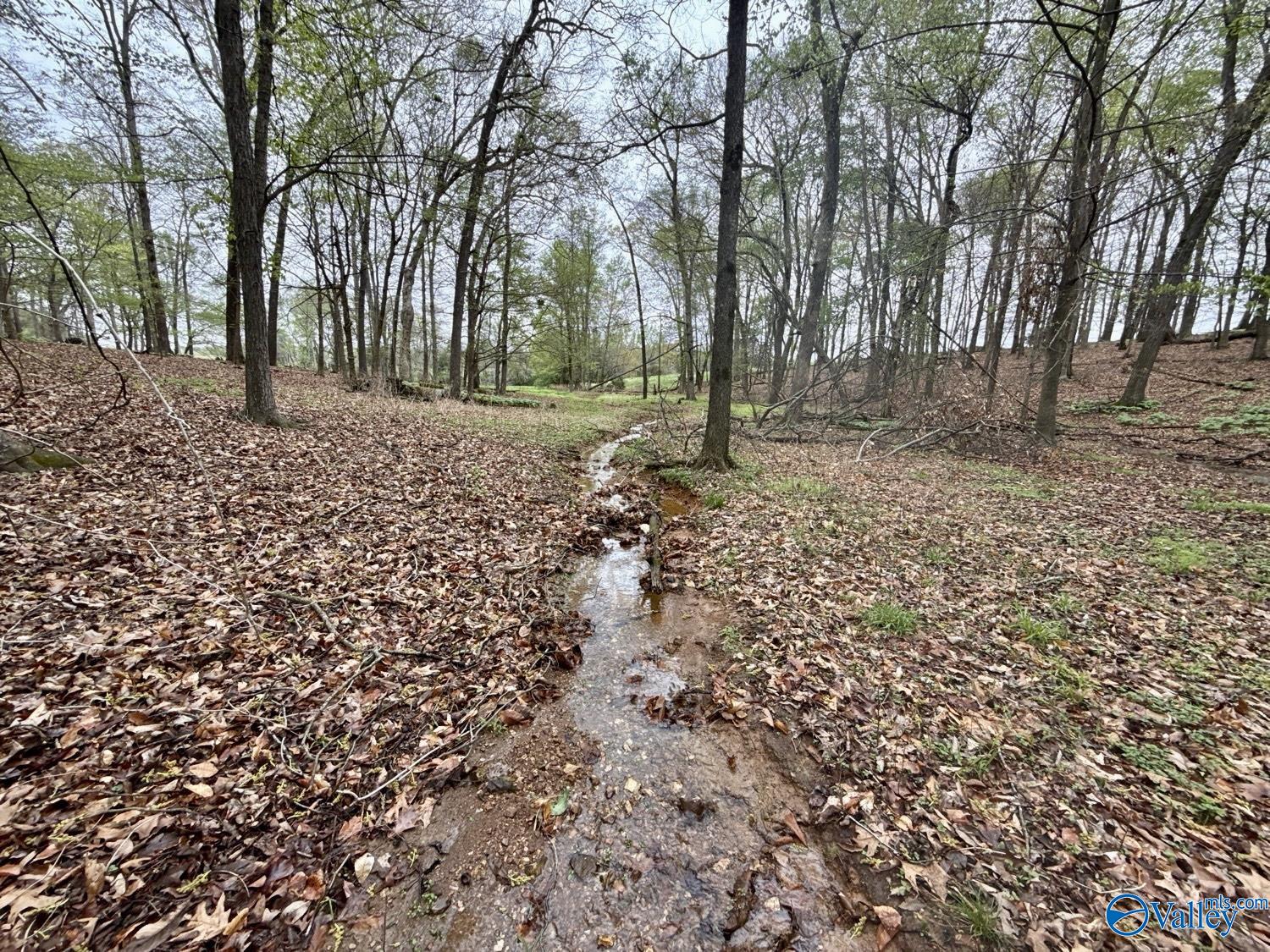 239 Mint Springs Road, New Market, Alabama image 15