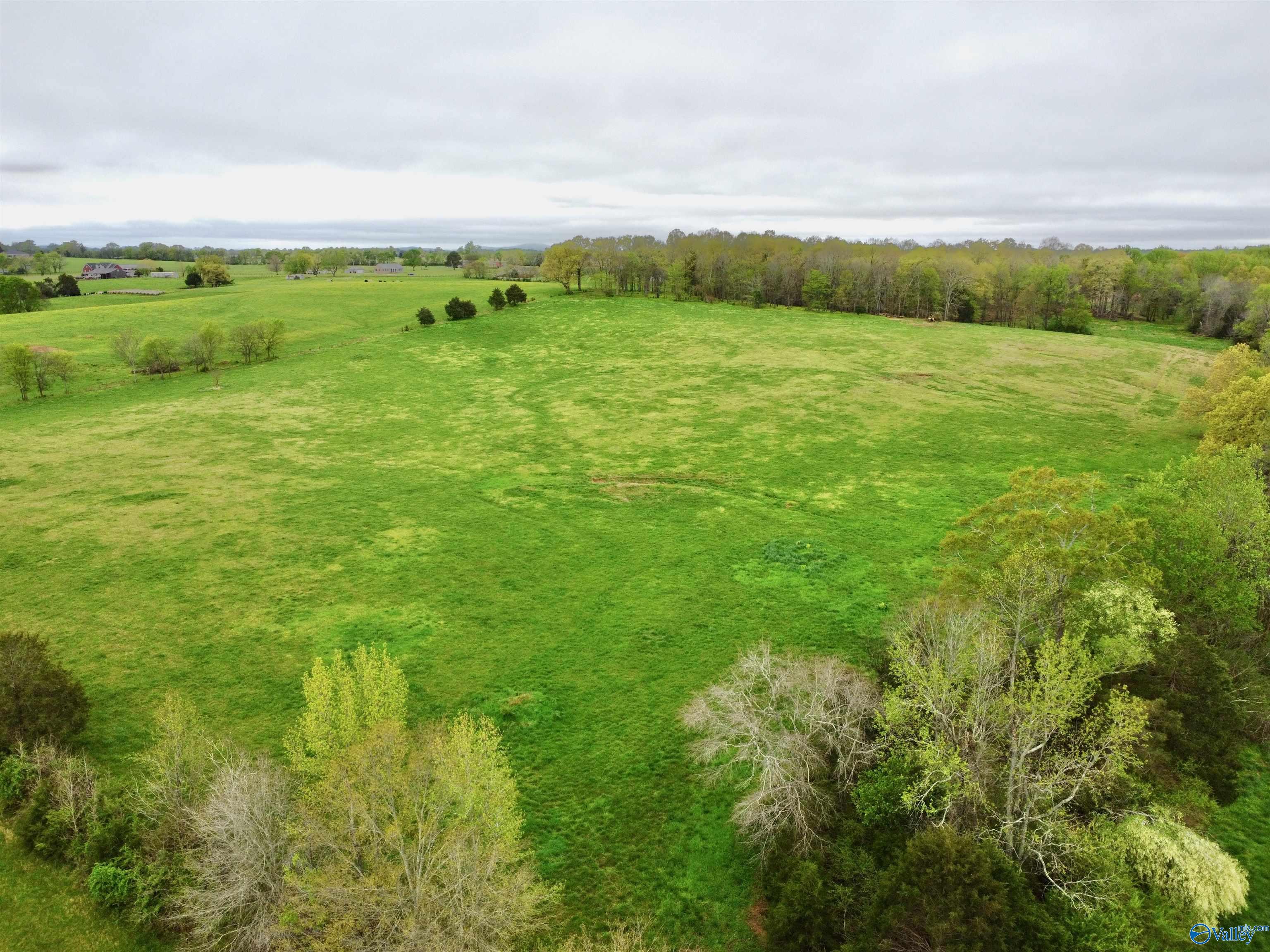 239 Mint Springs Road, New Market, Alabama image 10