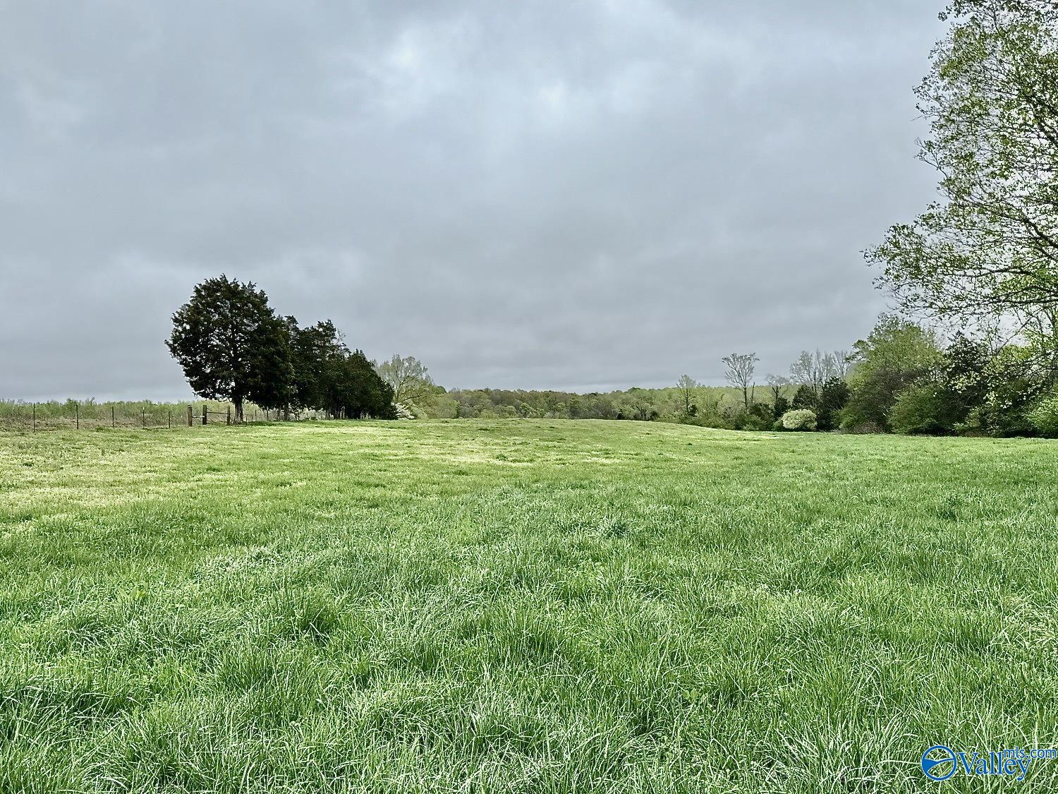 239 Mint Springs Road, New Market, Alabama image 12