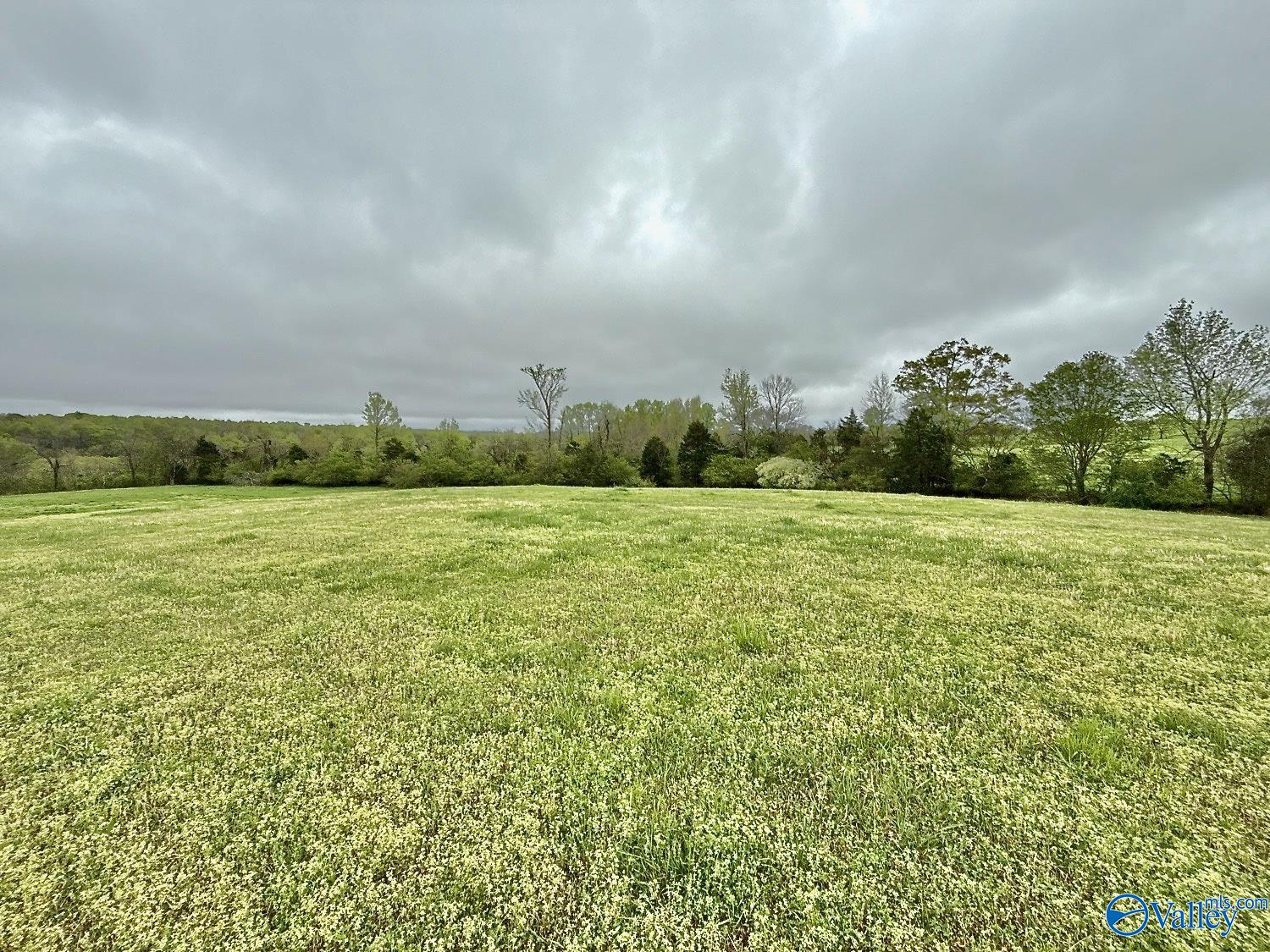 239 Mint Springs Road, New Market, Alabama image 13