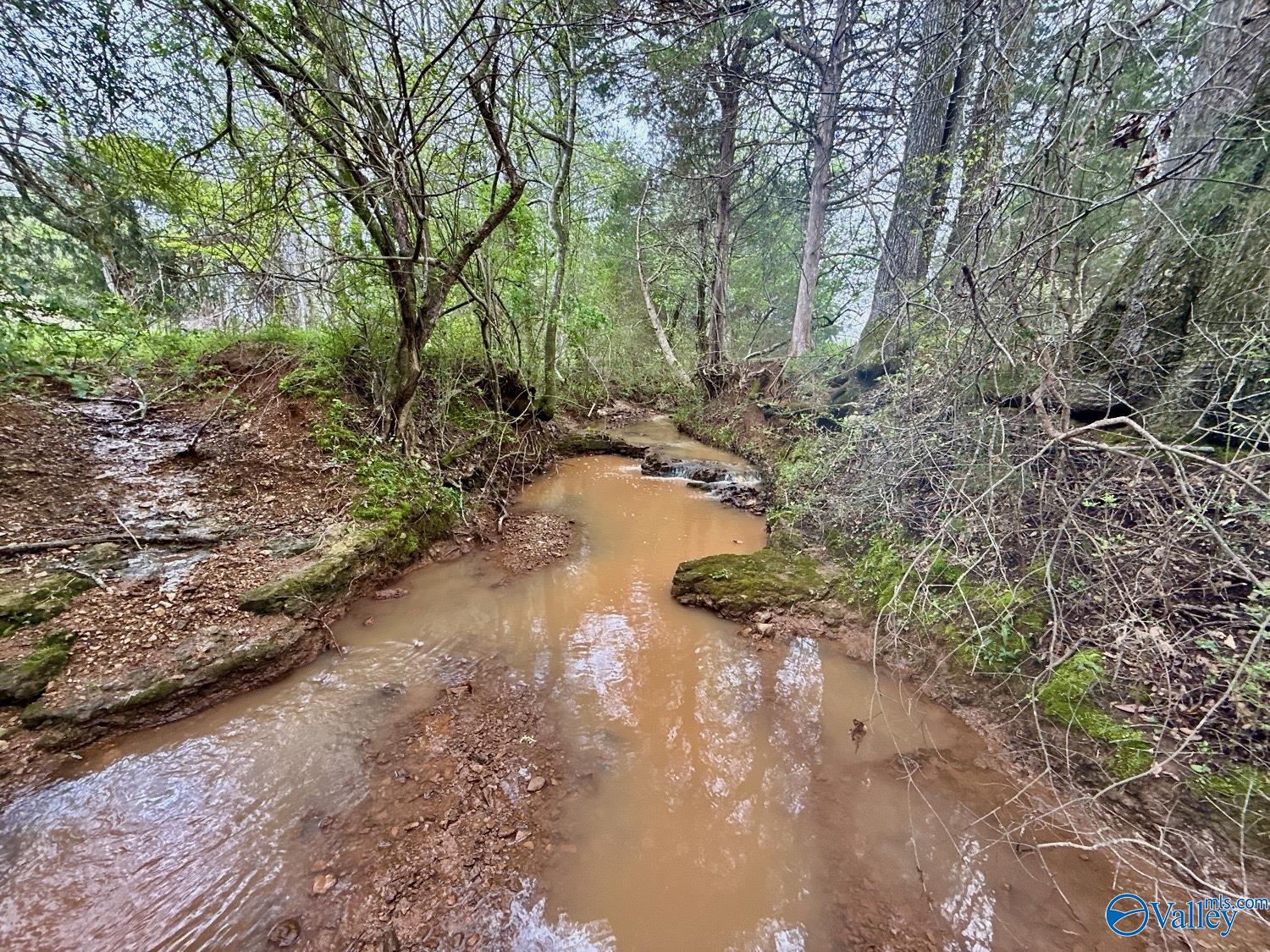 239 Mint Springs Road, New Market, Alabama image 17