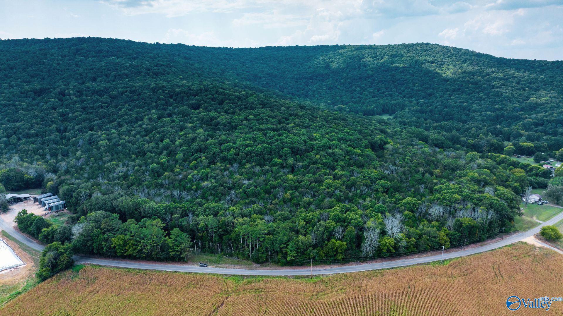 TBD County Rd 42