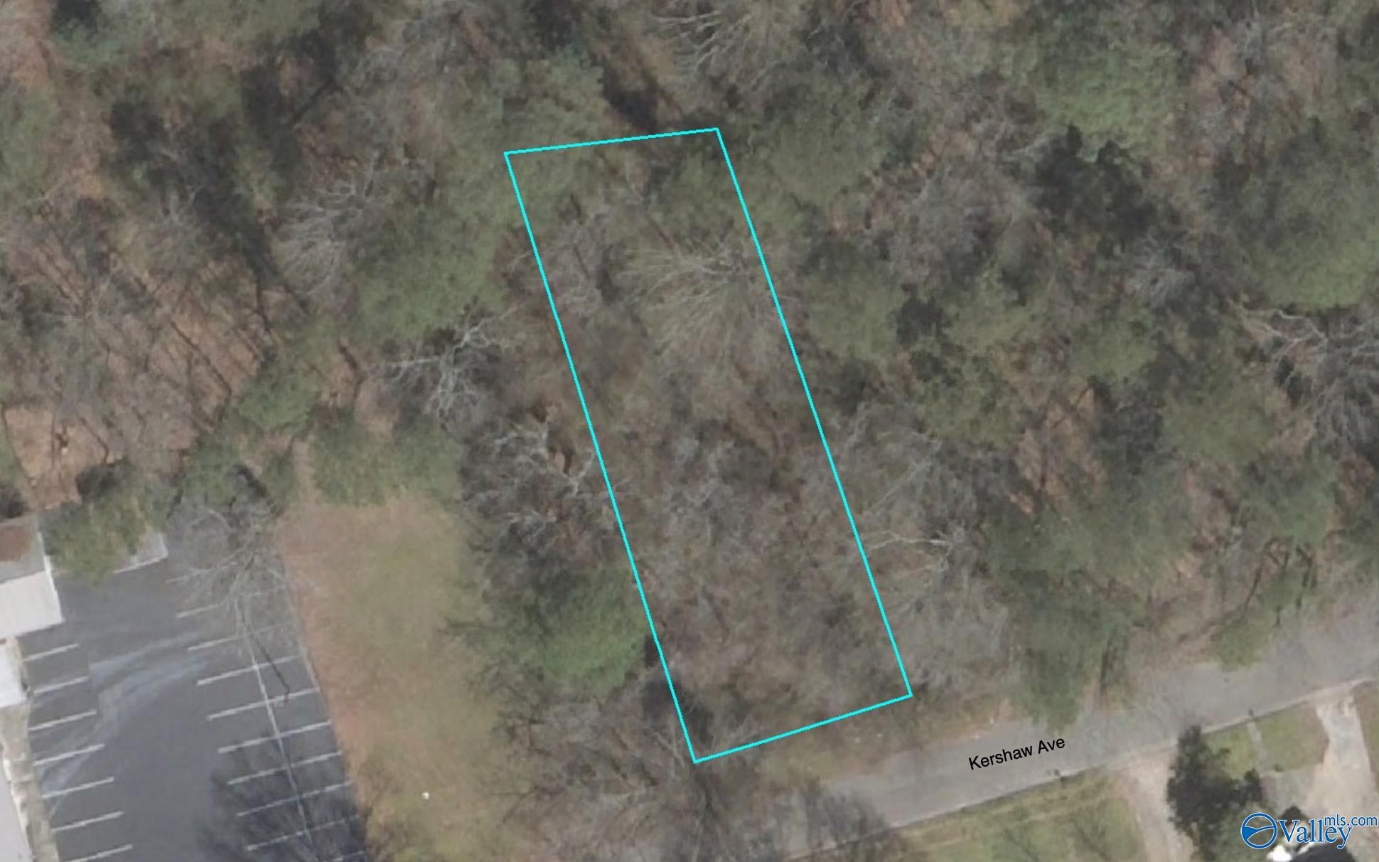 .23 Acres Kershaw Avenue, Gadsden, Alabama image 1