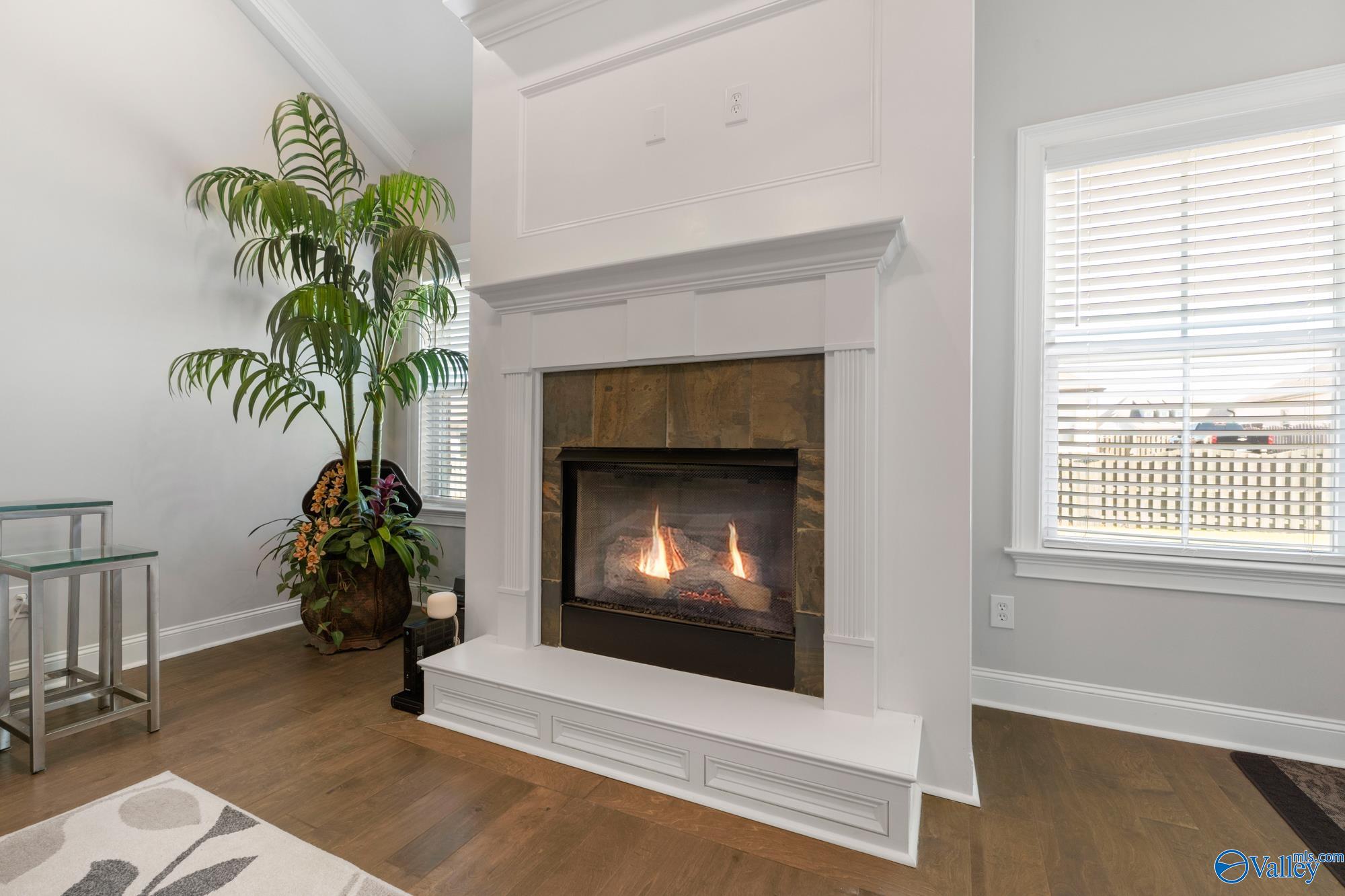 102 Bartram Way, Madison, Alabama image 18