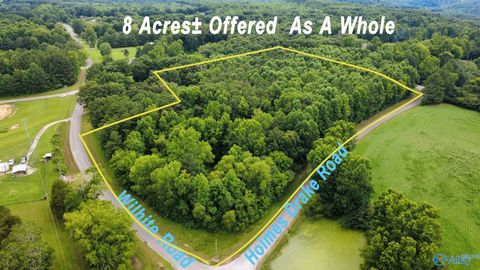 Vacant Land For Sale - 8 +/- ACRES Holmes Drake Road<br/> Falkville, AL 35622