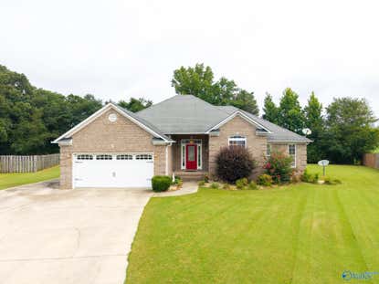 16235 Kyle Moran Dr – Investment Home
