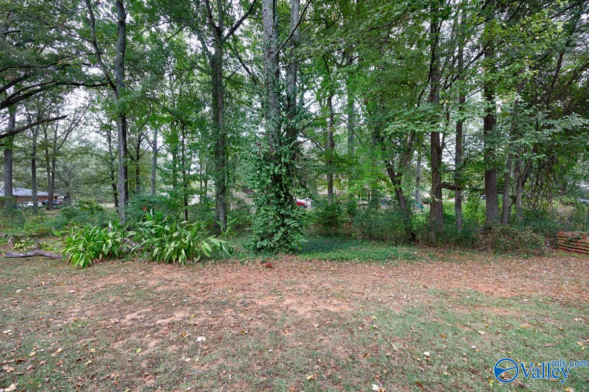 213 Backwood Trail, Hazel Green, Alabama image 29