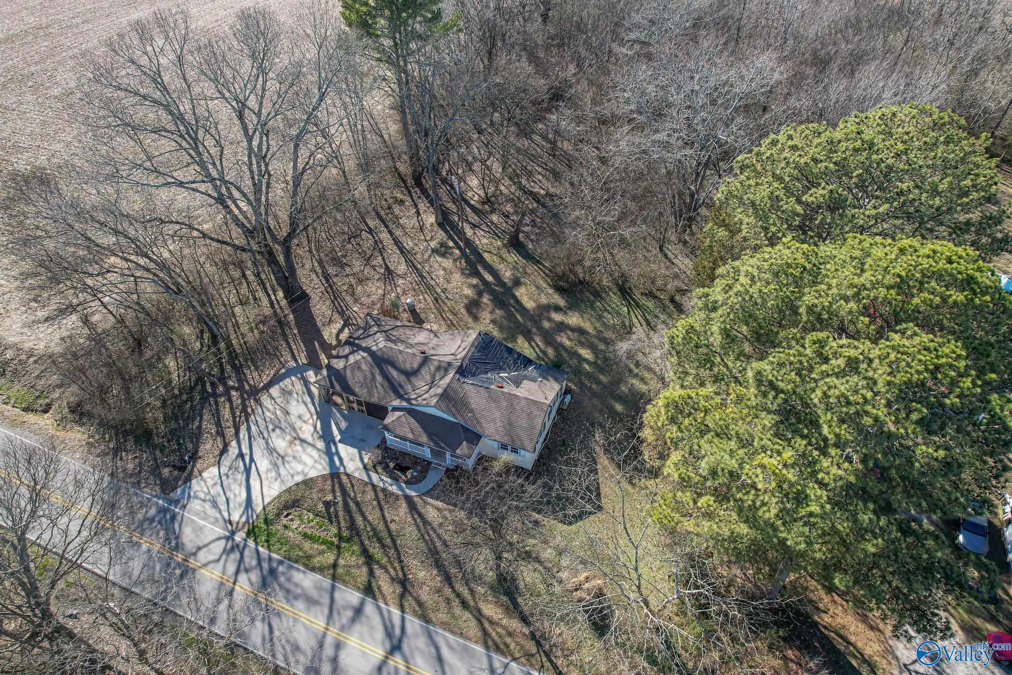 6435 County Road 31, Killen, Alabama image 6