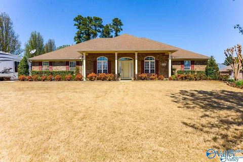 Homes For Sale - 118 Ridgerun Court<br/> Madison, AL 35757