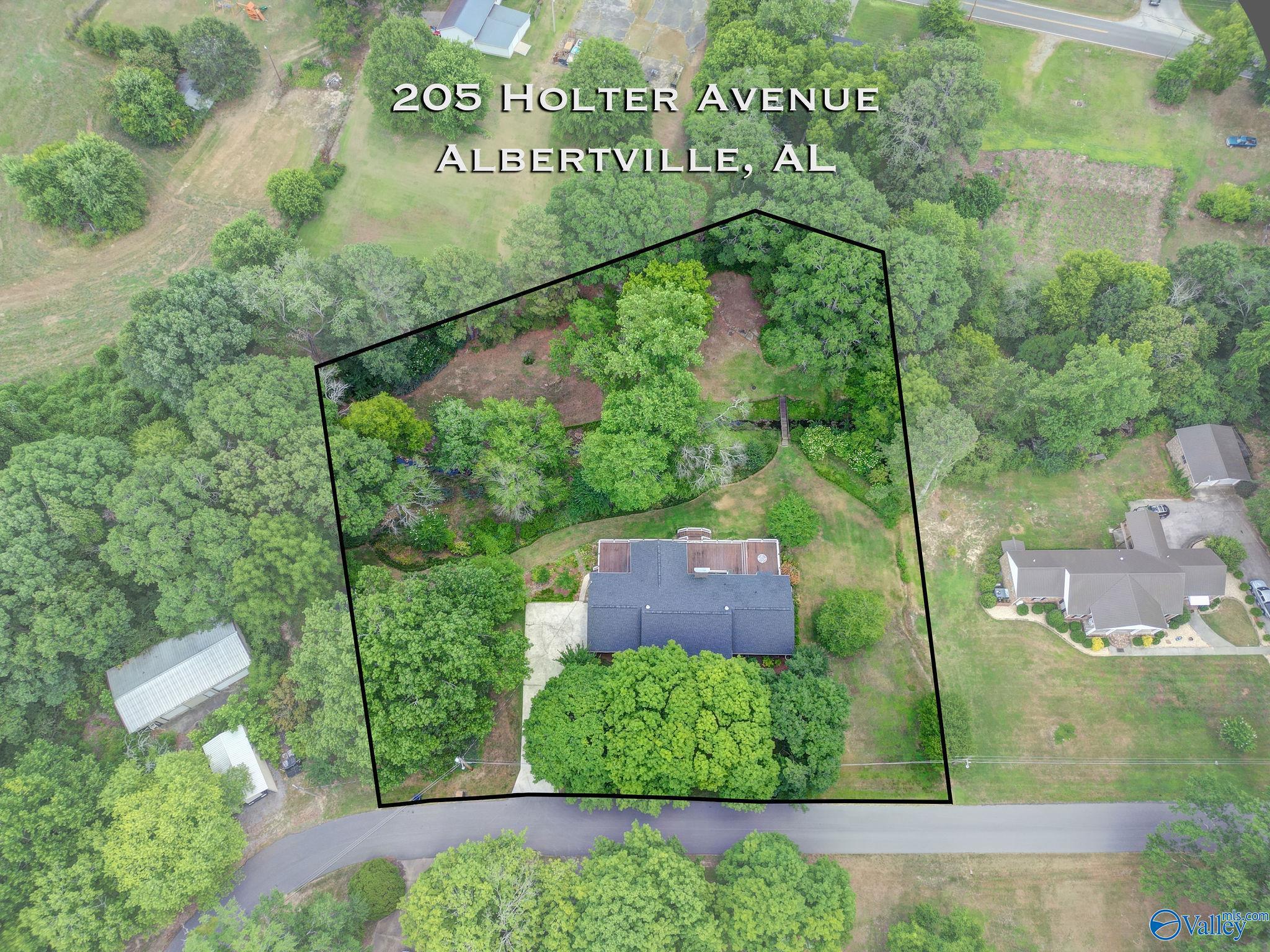 205 Holter Avenue, Albertville, Alabama image 31