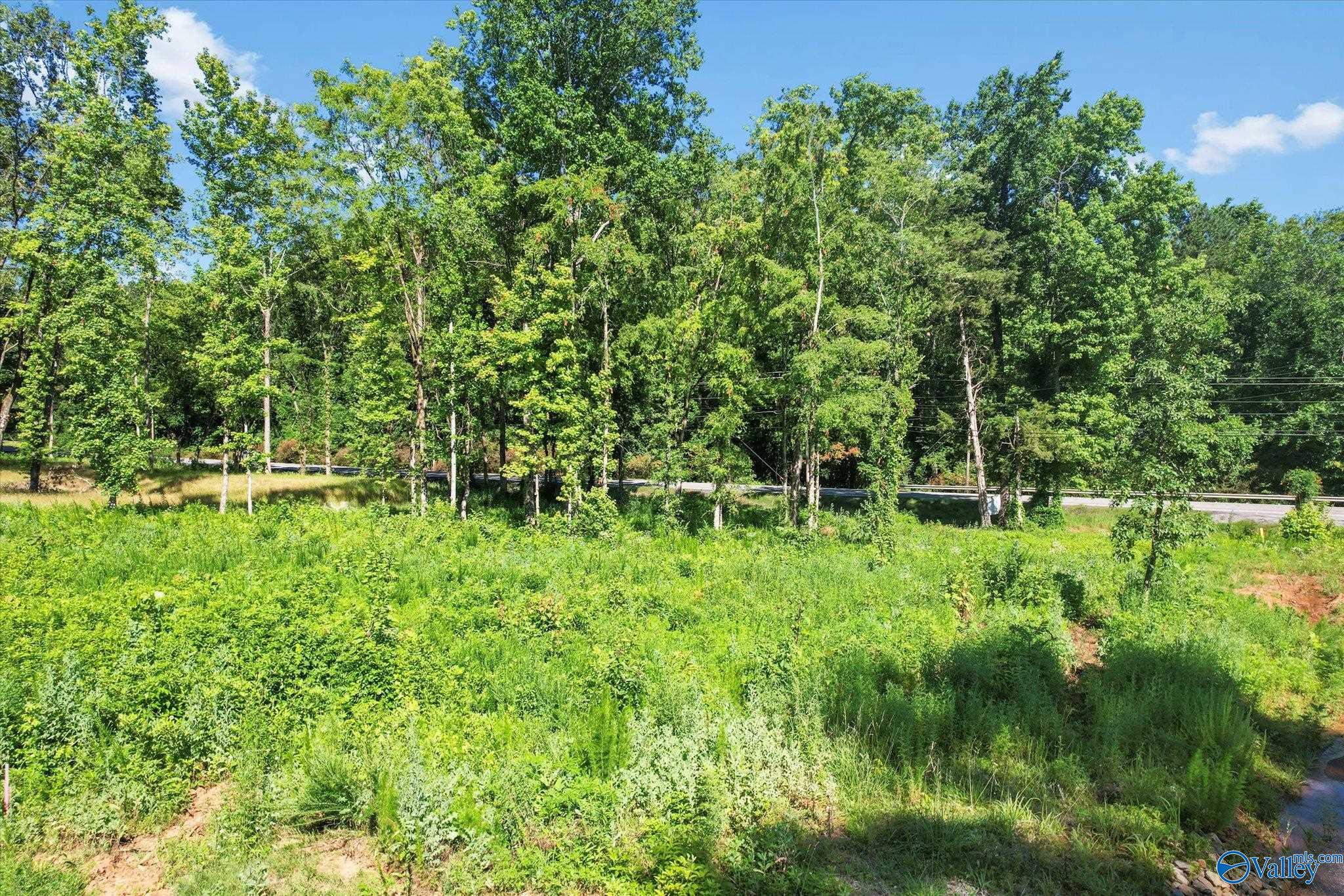 Lot 22 Adventure Road, Guntersville, Alabama image 10