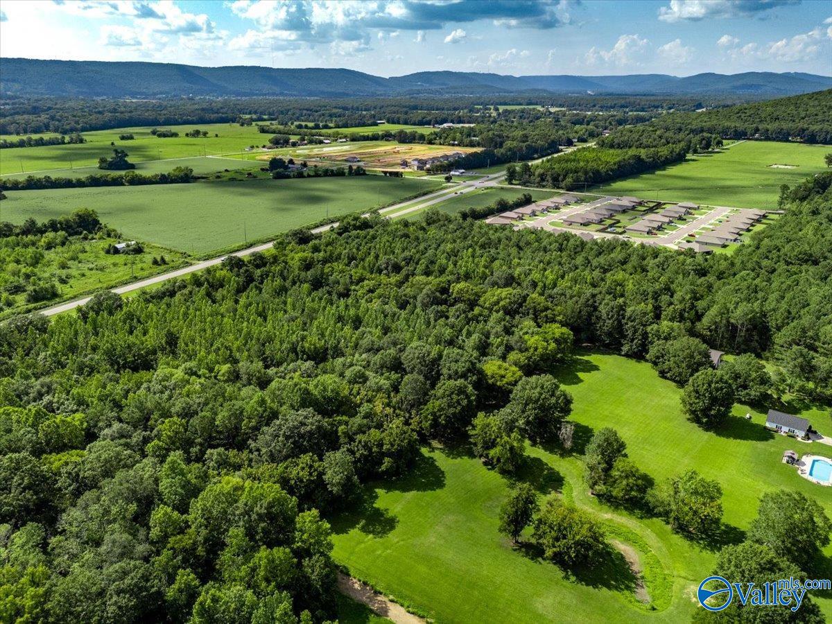 27.58 Acres Highway 431, Owens Cross Roads, Alabama image 9