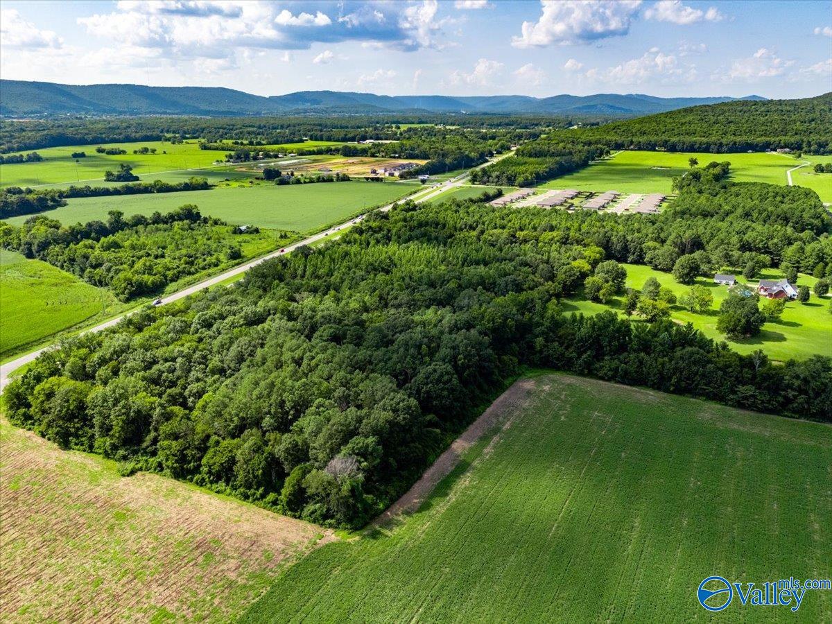 27.58 Acres Highway 431, Owens Cross Roads, Alabama image 7