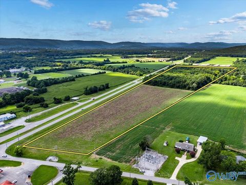 Vacant Land For Sale - 27.58 ACRES Highway 431<br/> Owens Cross Roads, AL 35763