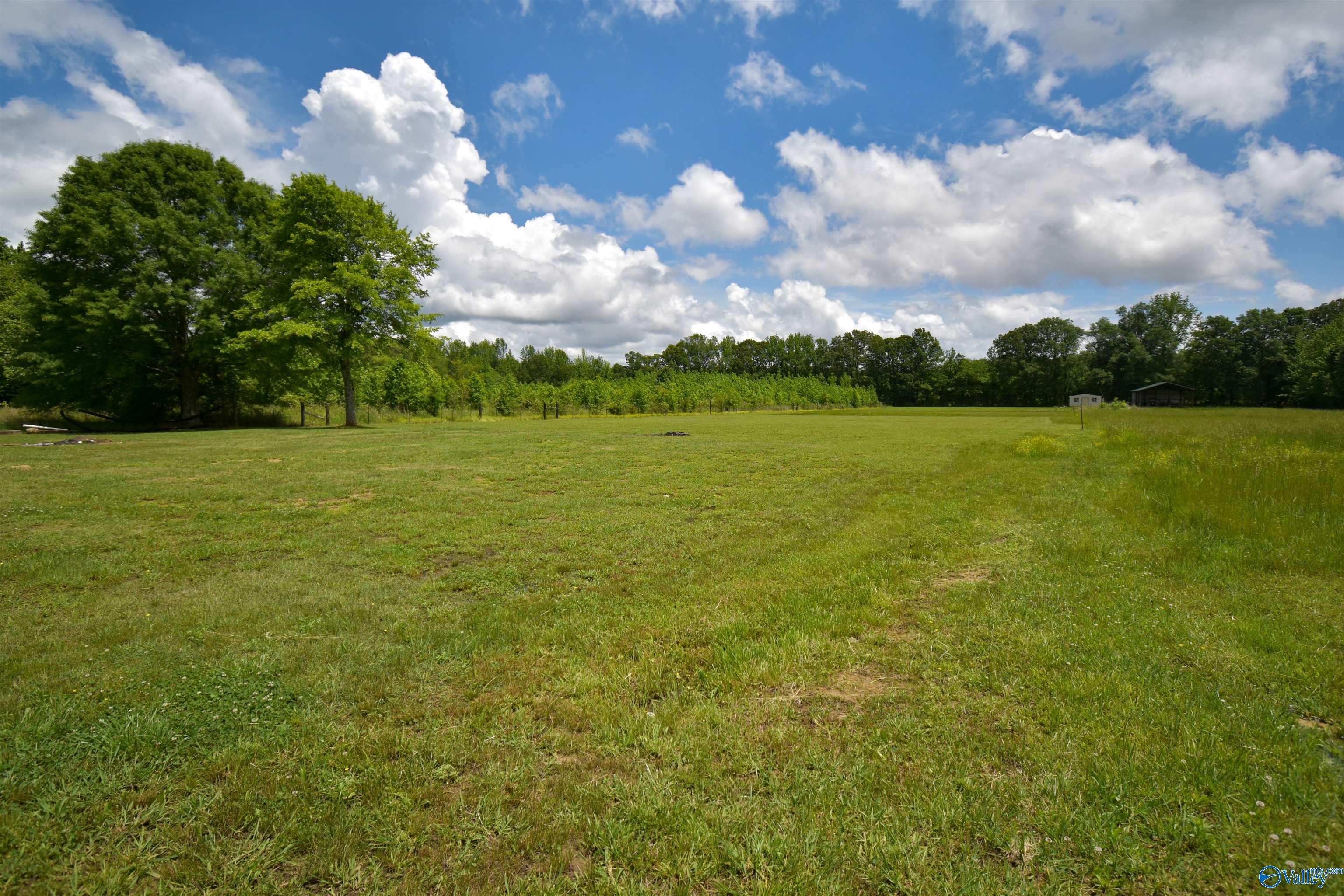 136 Pepper Road, Taft, Tennessee image 47