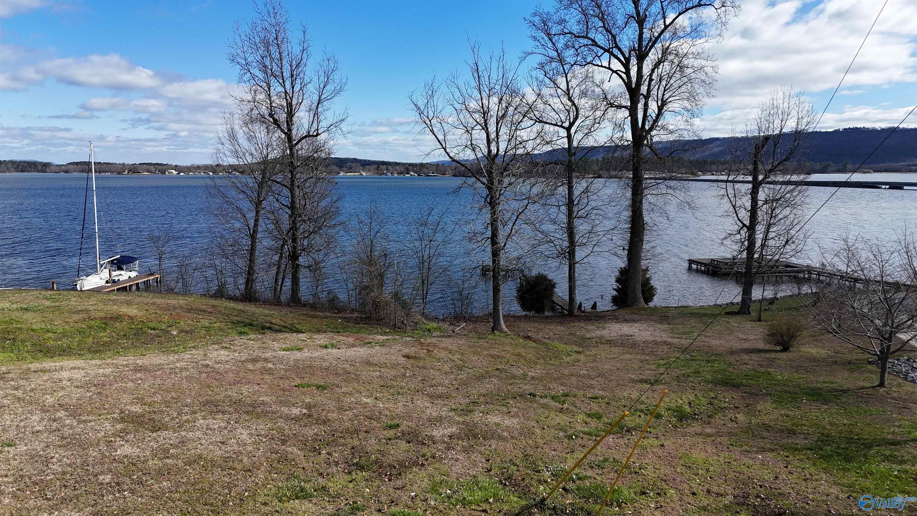 223 Pinewood Drive, Langston, Alabama image 15