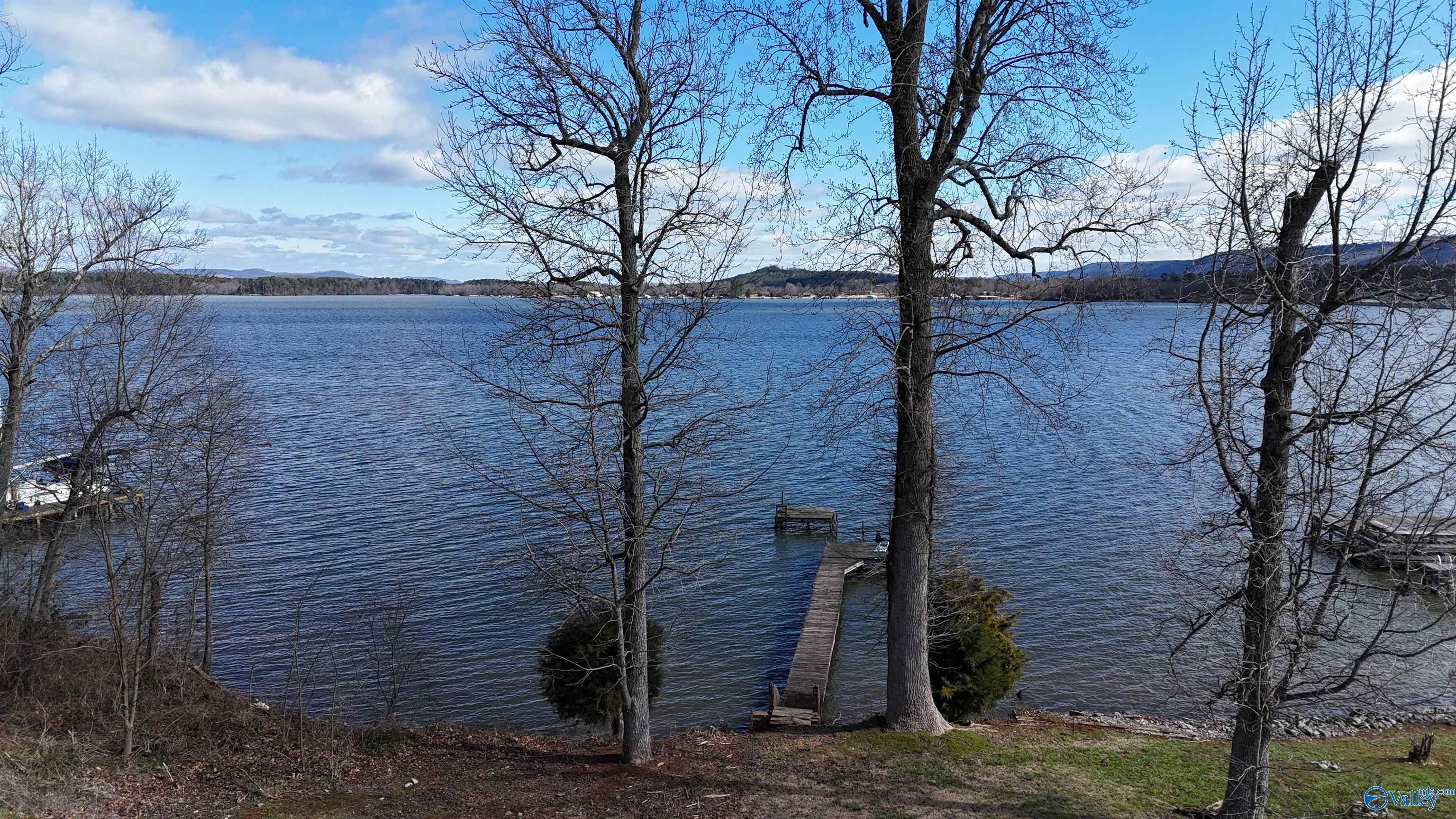 223 Pinewood Drive, Langston, Alabama image 2