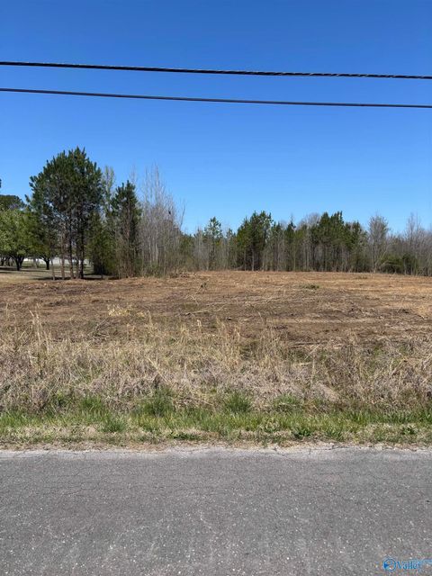 Vacant Land For Sale - LOT 1 Salem Road<br/> Hartselle, AL 35640