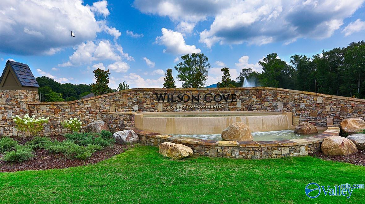 8502 Sophia Nicolle Court, Gurley, Alabama image 25