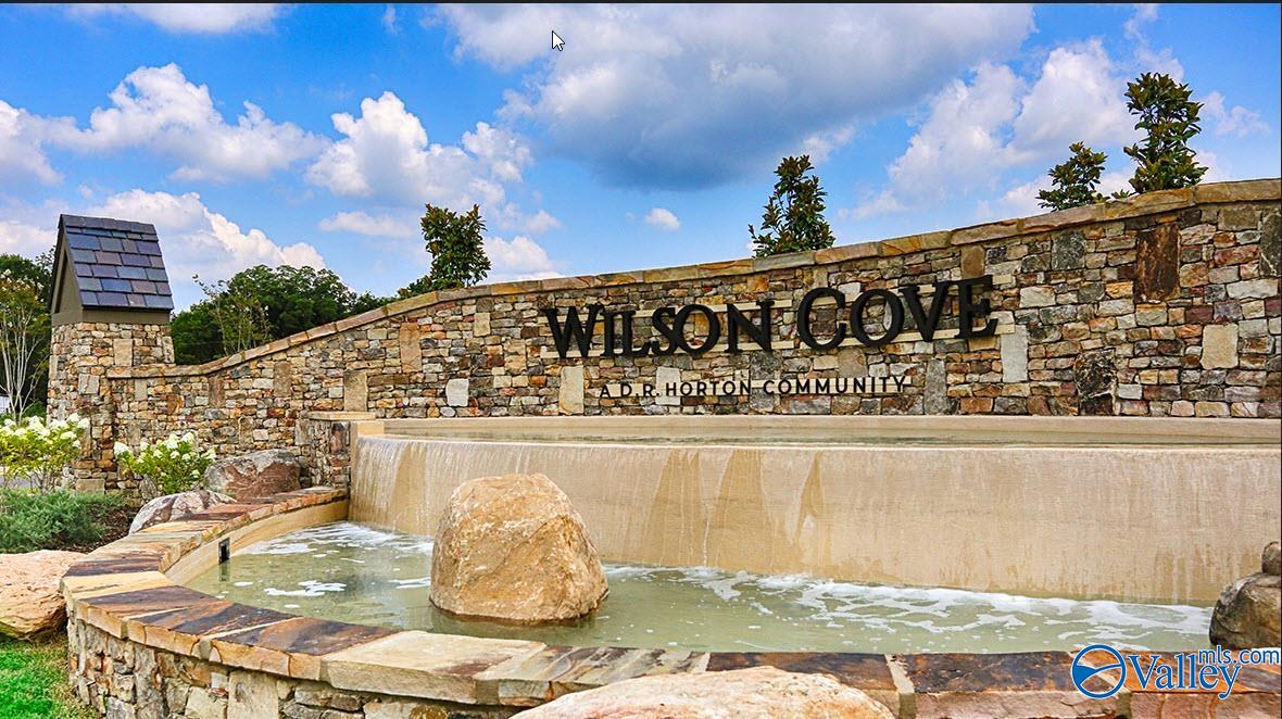 8502 Sophia Nicolle Court, Gurley, Alabama image 27