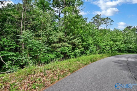 Vacant Land For Sale - LOT 11 Mill Creek Road<br/> Falkville, AL 35622
