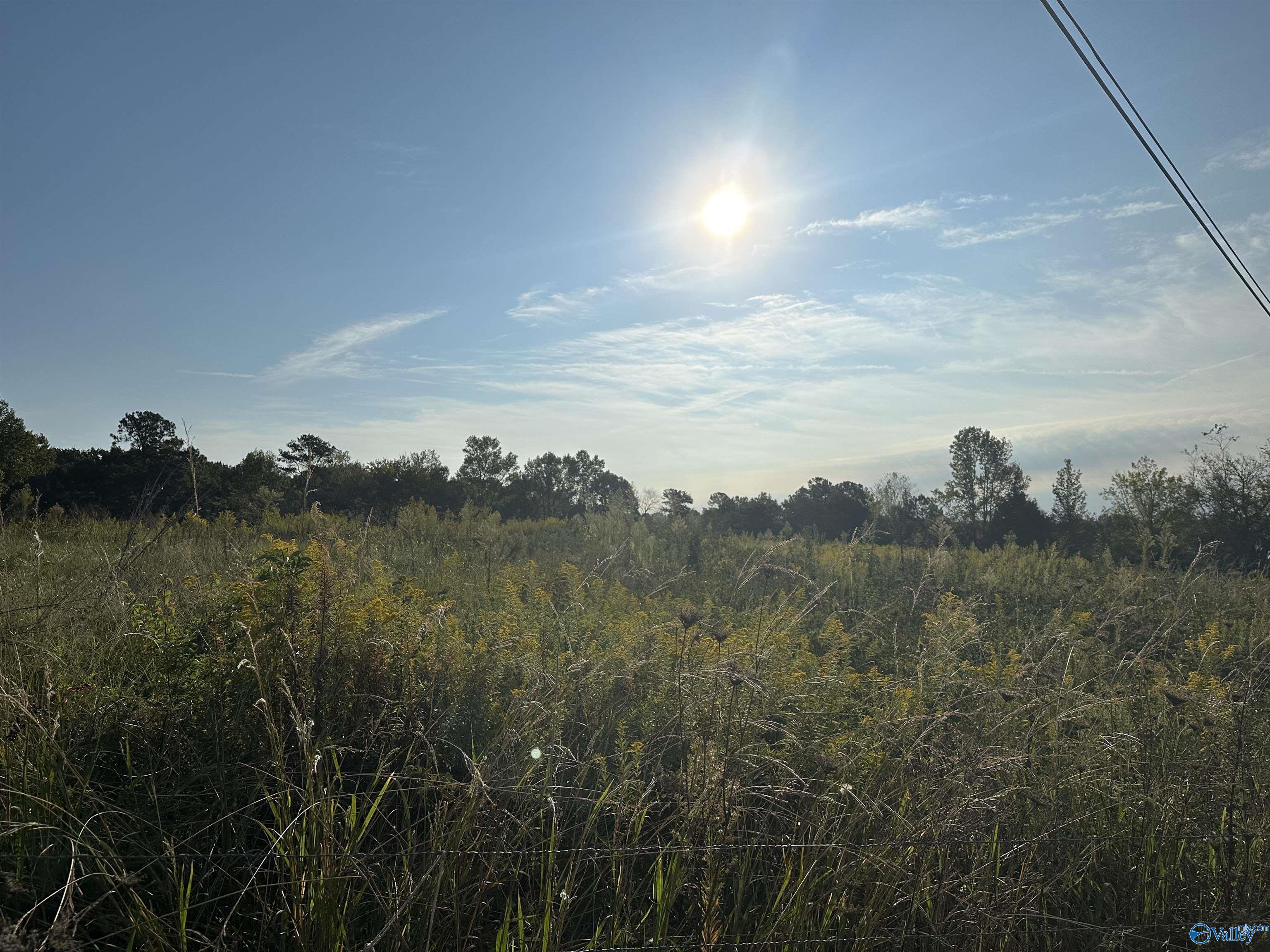 3926 Highway 231, Laceys Spring, Alabama image 12