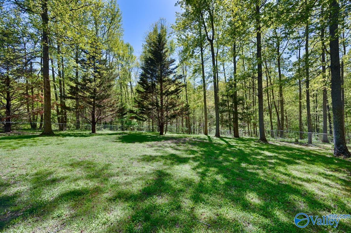 25621 Nellie Faye Circle, Ardmore, Alabama image 28