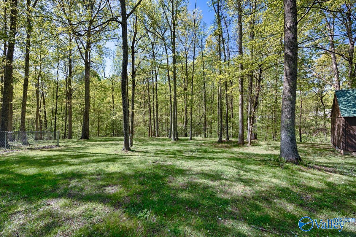 25621 Nellie Faye Circle, Ardmore, Alabama image 27