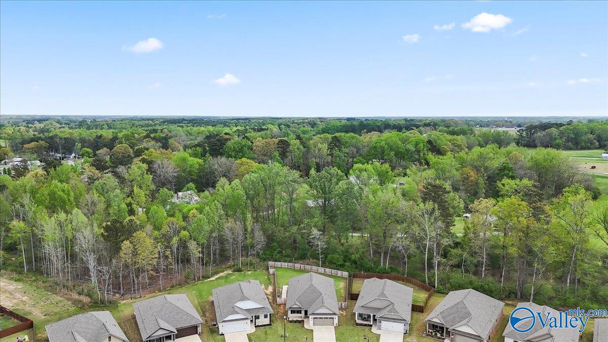 1820 Anise Circle, Cullman, Alabama image 43