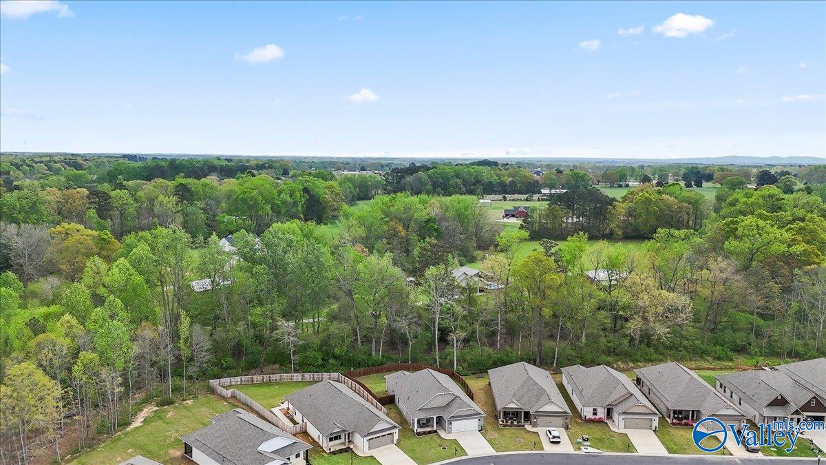 1820 Anise Circle, Cullman, Alabama image 45
