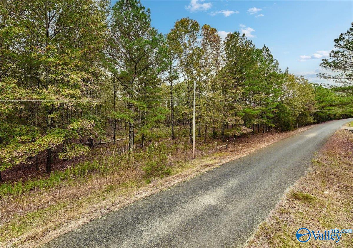 6.96 Acres County Road 531, Scottsboro, Alabama image 18