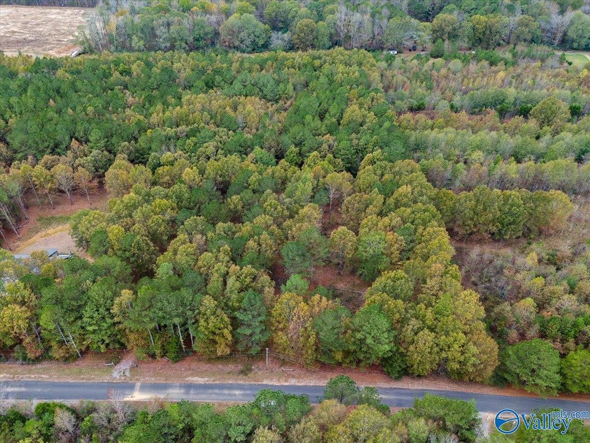 6.96 Acres County Road 531, Scottsboro, Alabama image 5