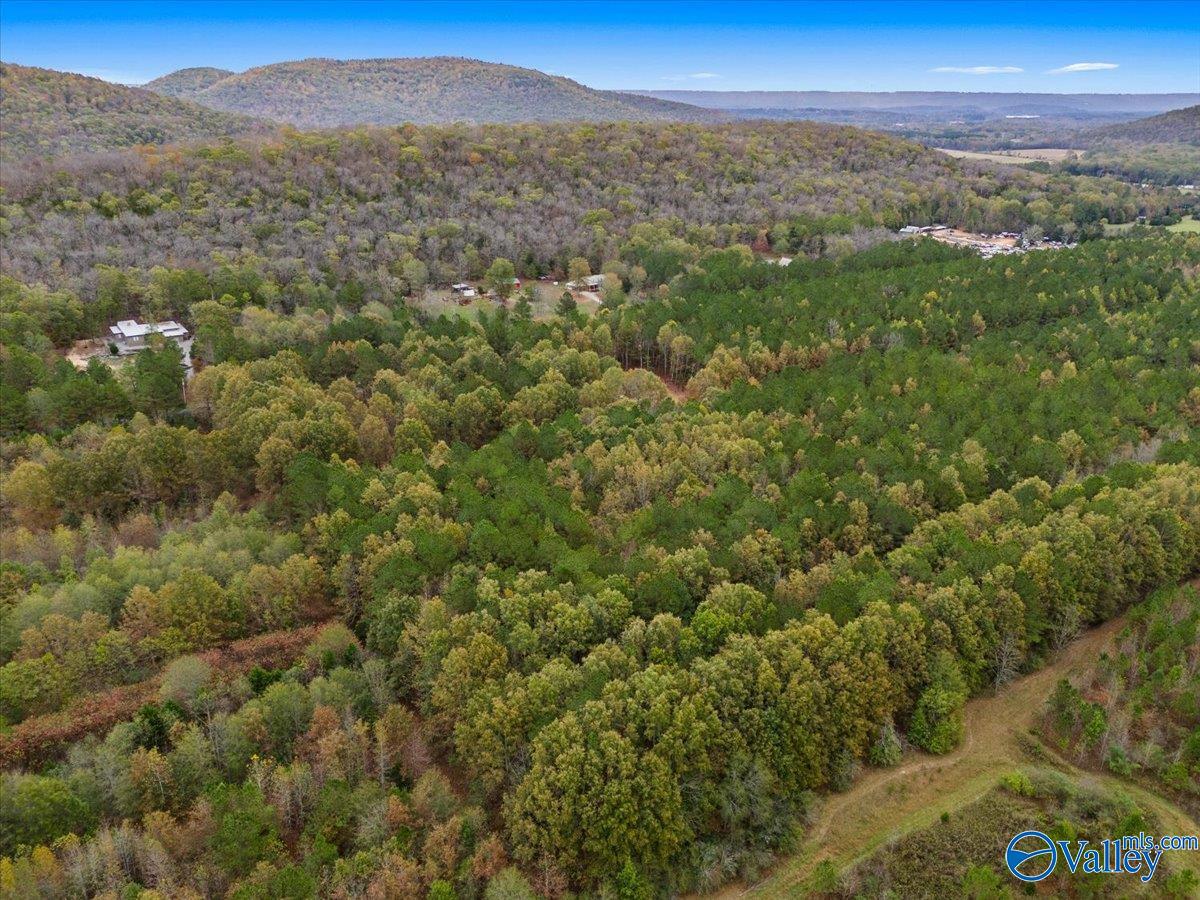 6.96 Acres County Road 531, Scottsboro, Alabama image 13