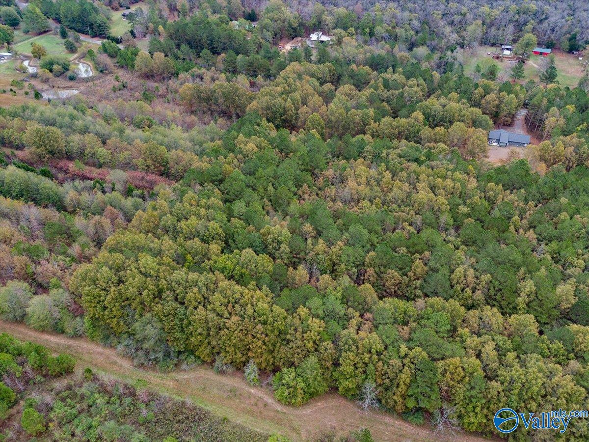 6.96 Acres County Road 531, Scottsboro, Alabama image 10